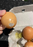 澳女超市购物买到“坏蛋”：一盒鸡蛋只有3个能