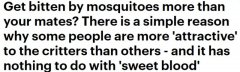 为什么蚊子总是“偏爱”你？新州蚊子专家揭露