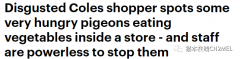 女子在墨尔本某Coles超市多次看到鸽子偷菜吃，因