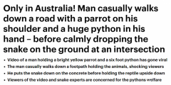 土澳日常！悉尼男子手拎蟒蛇，肩站鹦鹉散步，
