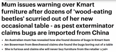 澳女在Kmart买桌子，回家后竟在里面发现数十只虫
