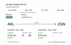 奥克兰至皇后镇的航班上 有流感症状的乘客检测