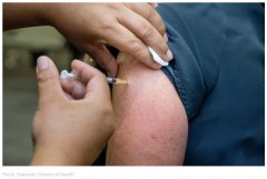 全面疫苗接种计划？新西兰政府：我们没有！