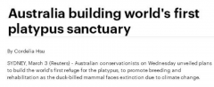 澳洲将建造世界首个鸭嘴兽保护区