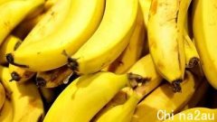 澳洲香蕉很快要涨价！狂野飓风致昆州农作物损