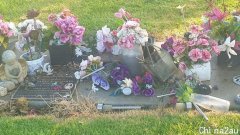 维州一墓园疑遭多名醉酒者破坏，居民呼吁加强