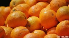 澳洲巨头Costa收购600公顷种植园 进一步扩大柑橘