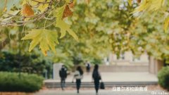 墨大五彩斑斓的秋天，初见惊艳再见心动