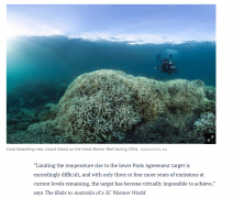 澳科学院报告：大堡礁99%的珊瑚或因全球变暖遭