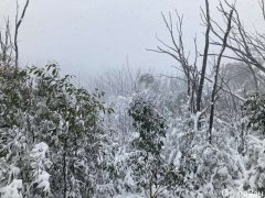 【视频】冷锋为多地带来降雪后或将消散，今天