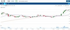 锰矿开采公司 OMH 的马来西亚冶炼厂员工抗议活动