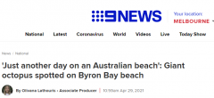 是你吗？克苏鲁！巨型变色章鱼降临澳洲海滩，