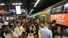 晚高峰悉尼Western Line暂停运行,乘客通勤严重延误