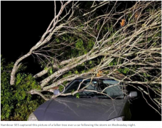 昆士兰一家人被电线和倒树困在车里！布里斯班