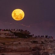 你根本不知道，夜晚的澳大利亚有多神奇