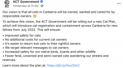 【宠物】ACT政府制定新的“猫计划” | 堪培拉猫
