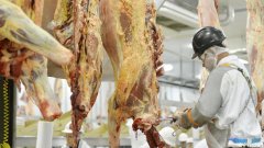 供应新州昆州牛羊肉的澳洲最大肉类加工厂停业