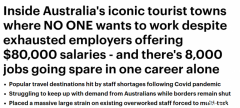 澳洲八成酒店严重缺人！年薪$8万都没人来？