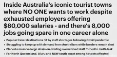 年薪8万都招不到人，澳洲这个行业工资极高都没