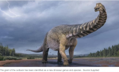 澳洲大陆最大恐龙化石在昆州被发现