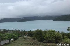 WTC高开高走 多家机构维持买入评级