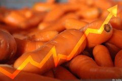 疫情期间澳洲胡萝卜出口增长，产值破亿