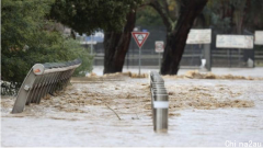 维州洪涝灾害范围广，保险公司已接逾6千项巨额