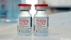 澳洲年底前完成疫苗推广稳了：辉瑞供GP，莫德纳