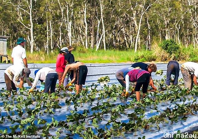 British people under the age of 35 will be able to work in Australia for three years