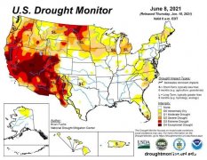 美国西部遭遇极端干旱，严重程度或创1200年之最