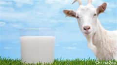 Bubs山羊奶配方奶粉进驻美国市场 盘中飙涨两成