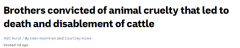 澳洲两兄弟虐待动物，被重罚16万澳元！剥夺动物