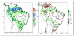 “百年一遇”旱灾！巴西过半国民食不果腹，可