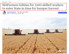 西澳农业丰收季陷“用人荒”，$70亿产业受波及