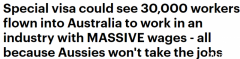 3万多人或持特殊签证入澳！这一高薪行业雇员短