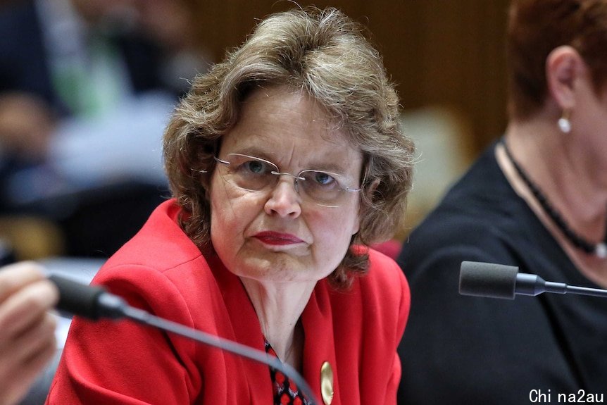 Frances Adamson looks to her side while sitting in front of microphones