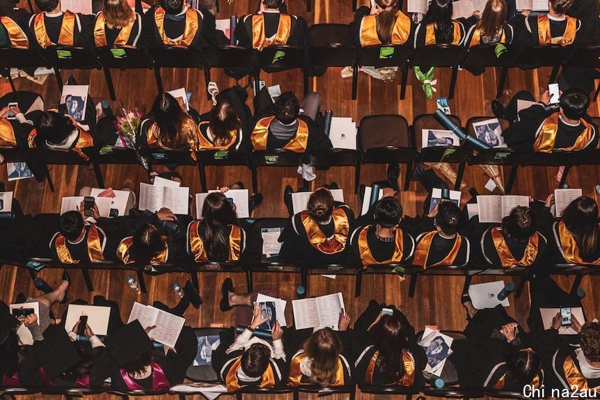 An aerial view of rows of seated graduation students with colourful sashes over their black academic robes.