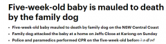 新州“封城”期间发生惨剧，5周大男婴被狗咬死