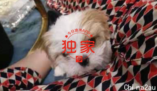 截屏2021-05-18 下午5.57.36.png,12