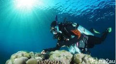 澳洲大堡礁有再生迹象？！别高兴太早，专家这