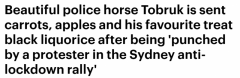 悉尼被打马匹获万千宠爱！骑警称爱马被殴情绪