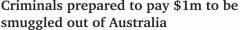 悉尼重案嫌犯不惜$100万重金“偷渡出境”！警方