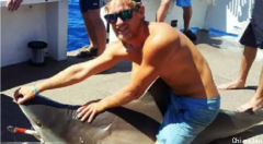 澳洲号称“鲨鱼骑士”的男人，遭遇鲨鱼正面袭