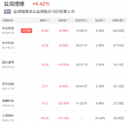 复牌后能涨2.7倍？千亿锂矿巨头要回来了