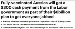 打疫苗就能拿钱？工党吁：向接种了两剂疫苗的