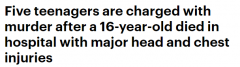 悉尼16岁少年遭围殴重伤送医，3天后宣告不治！