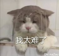 那些还在澳洲的留学生，现在都怎么样了？（图