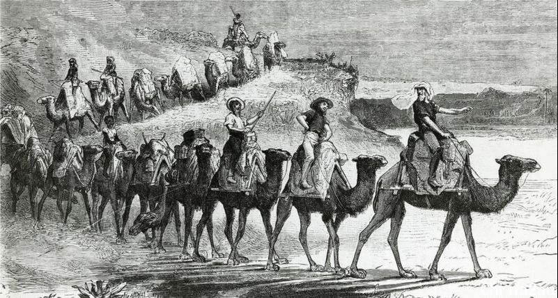 泛滥成灾！澳大利亚一农民3小时枪杀113头骆驼，骆驼做错了什么？