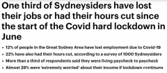 “封城”之下，1/3悉尼人失业！政府官员吁重新