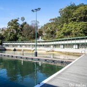 内西区Dawn Fraser 户外泳池于9月8日重开，市长称其